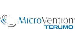 microvention